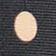 Black/Tan Polka Dot