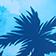 Blue Pattern