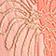 Flame Coral