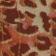 Brown Pattern