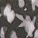Black Pattern