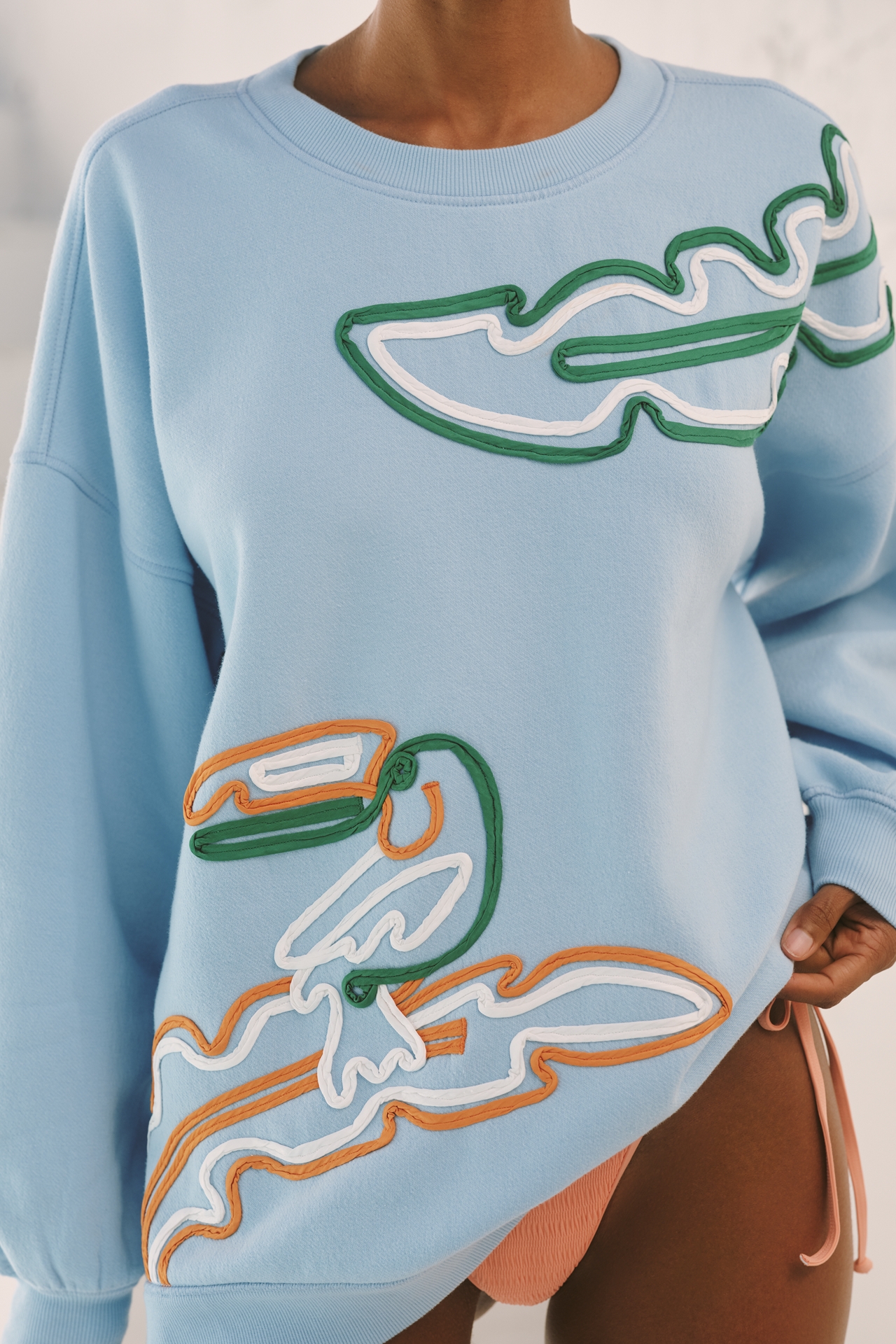 Celandine Embellished Crew-Neck Sweatshirt