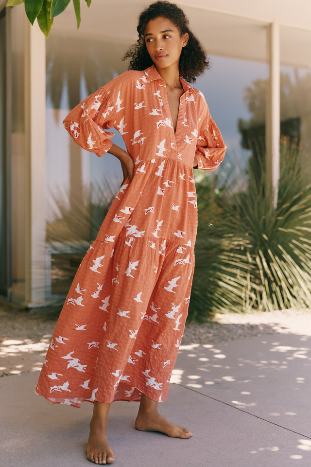 Celandine Carolita Long-Sleeve Dress