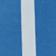 Blue Stripe