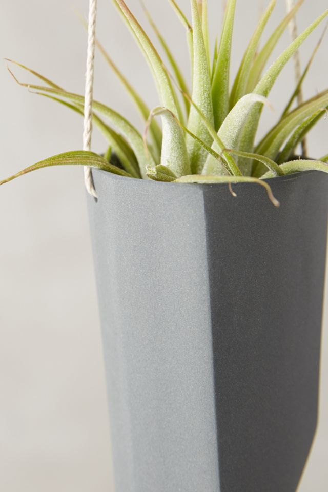 Crystal-Cut Hanging Planter #1