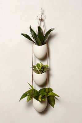 Leather-Latched Wall Planter