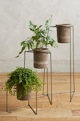 Plant Stand Trio | AnthroHome