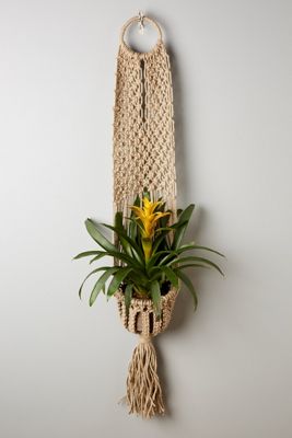 Macrame Hanging Planter