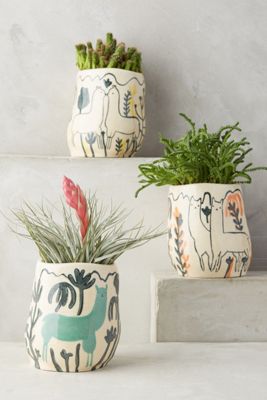 Wild Alpaca Pot