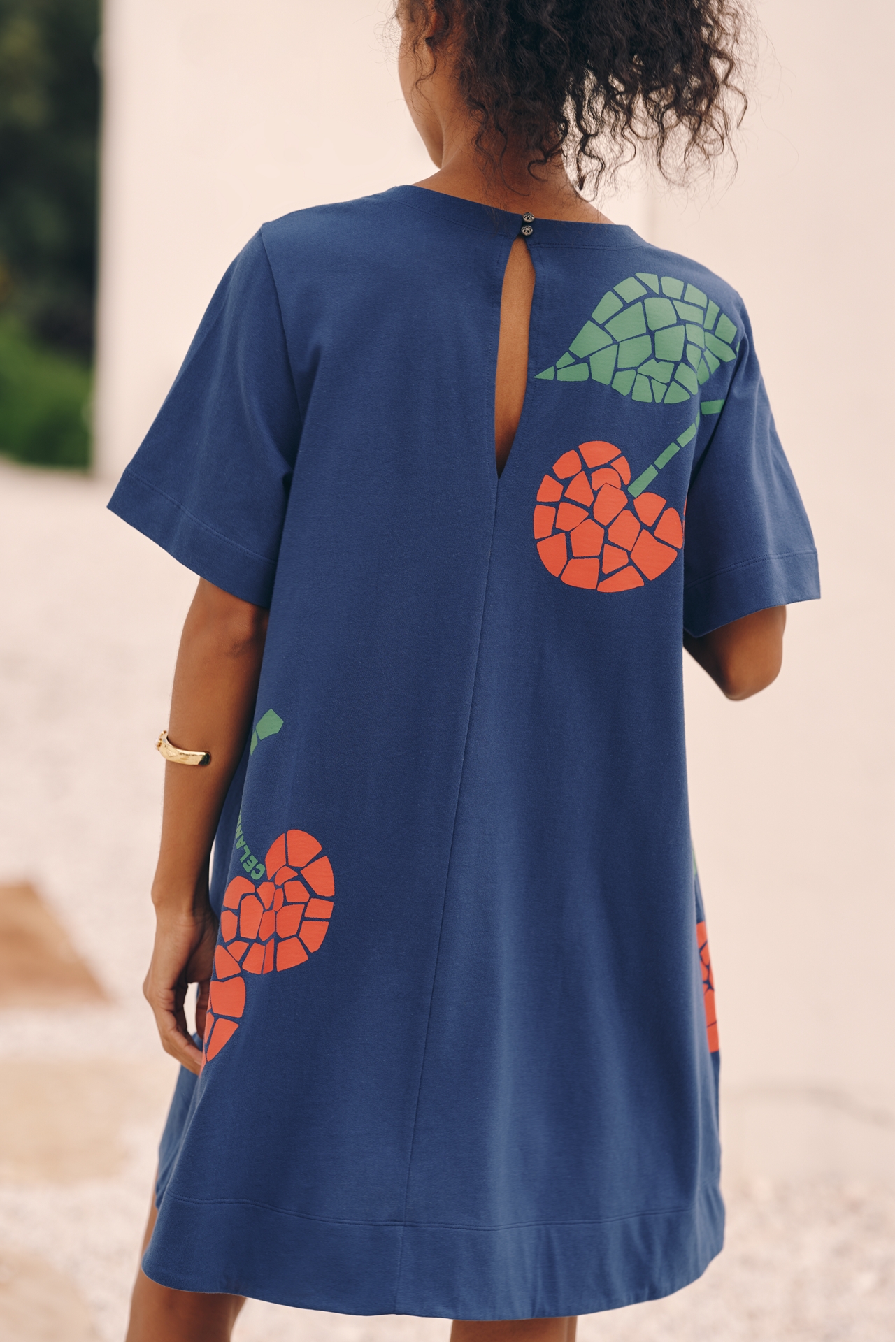 Celandine Graphic Short-Sleeve Mini Swing Dress