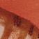 ORANGE MOTIF
