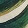 Botanical Pattern