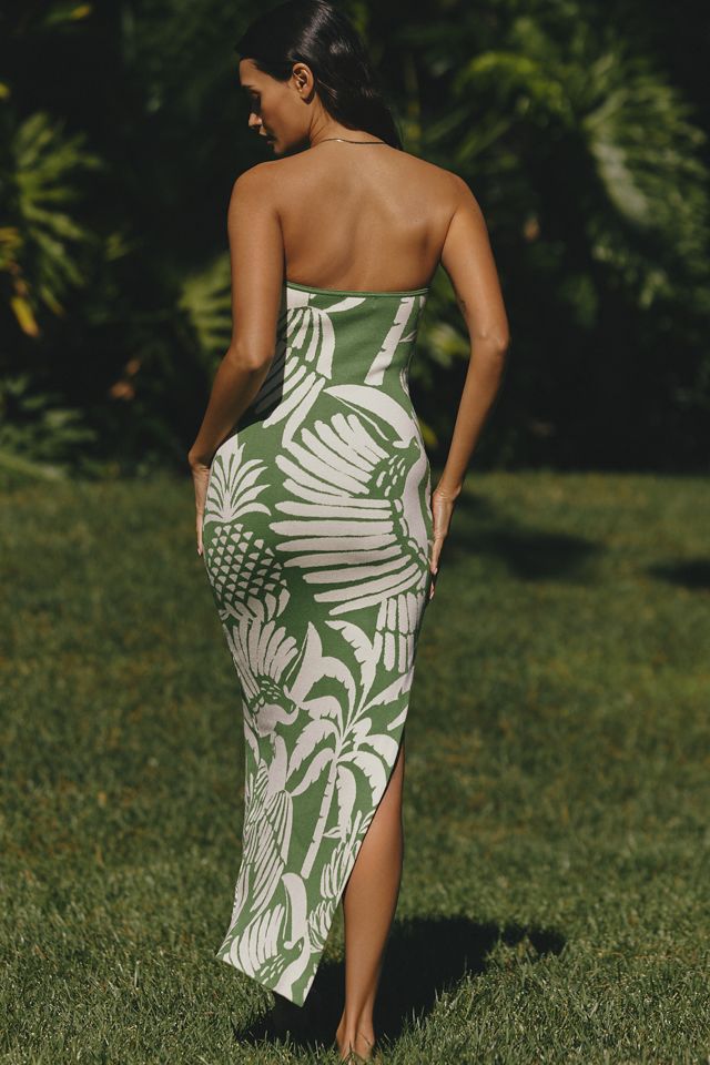 celandine strapless smocked drop-waist midi dress Nalini Smocked Midi Dress in Poplin