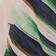 Botanical Pattern
