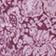 PURPLE PATTERN