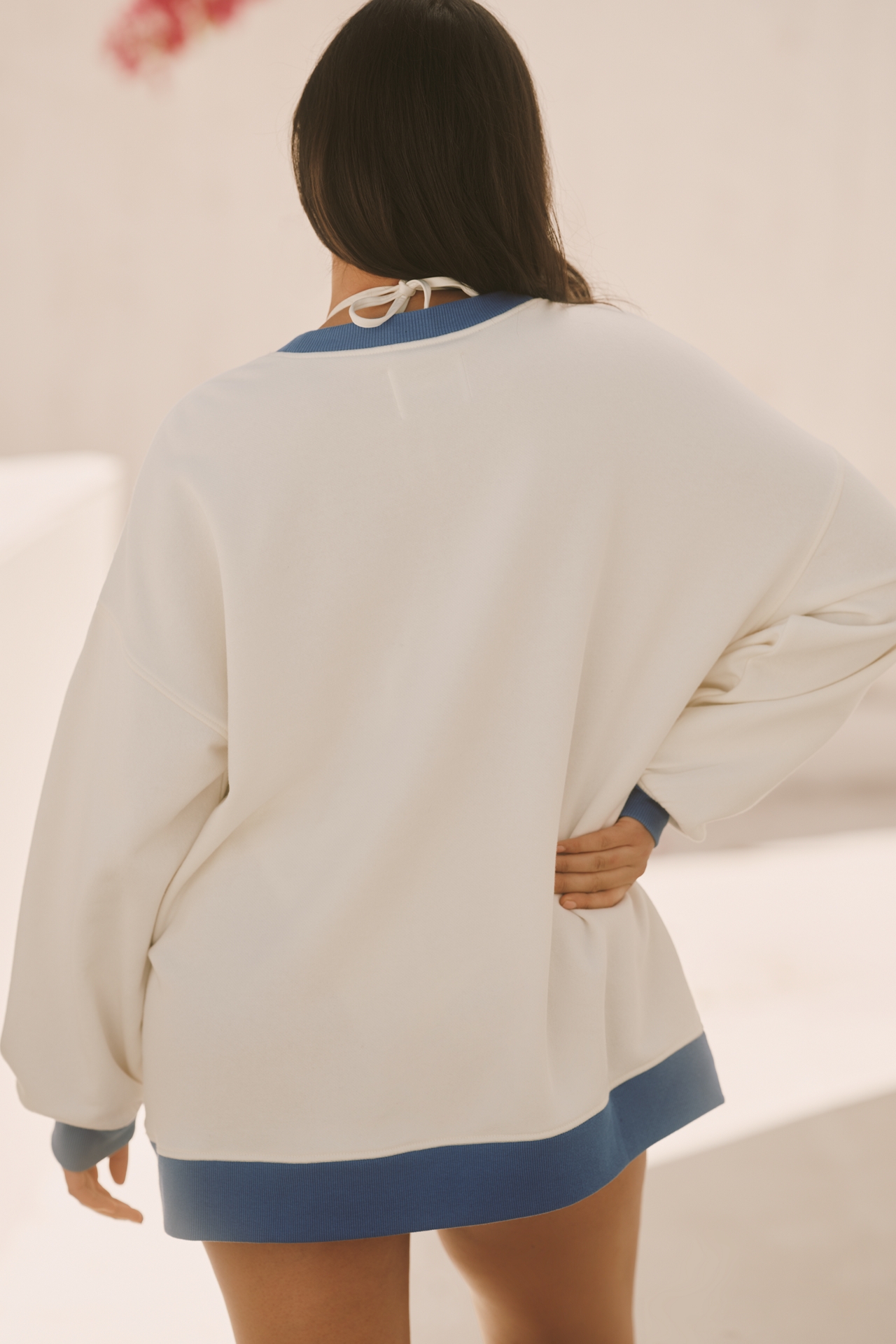 Celandine Graphic Pullover Sweatshirt