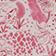 Pink Pattern