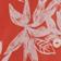 Red Pattern
