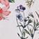 Botanical Pattern