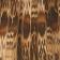 Brown Pattern