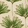 Botanical Pattern