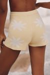 Celandine Daisy Bloom Knit Shorts