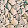 Ivory Pattern