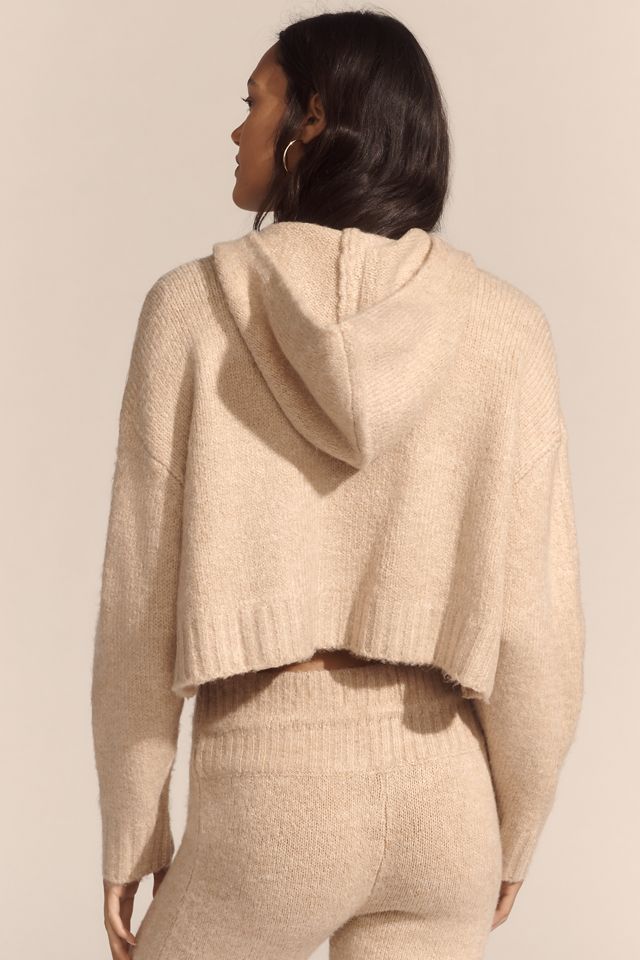 LSPACE Jet Set Crop Hoodie #2