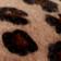 BROWN MOTIF