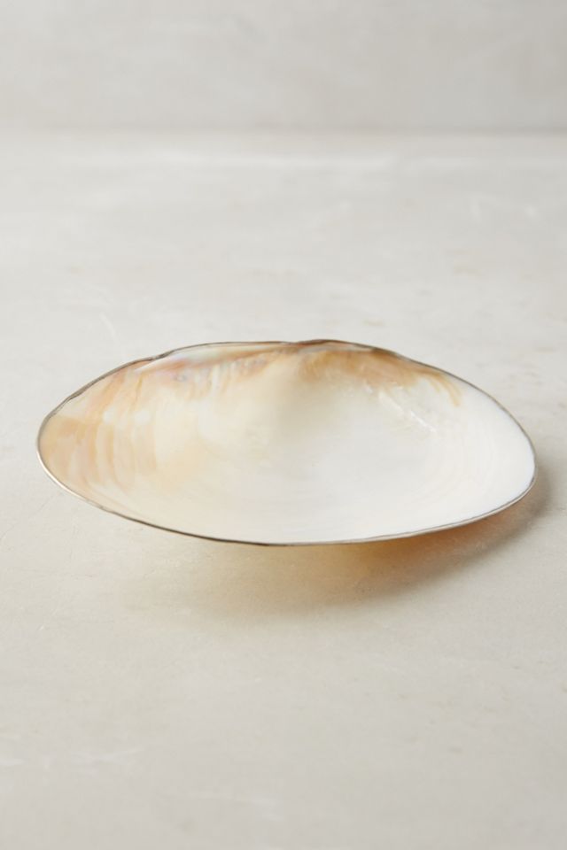 Anthropologie Style DIY Oyster Shell Trinket Dish - A Piece Of Rainbow