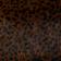 NEUTRAL MOTIF