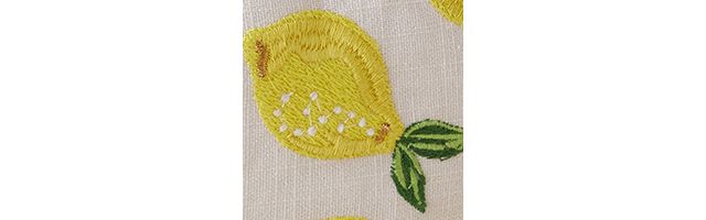 Elizabeth Scarlett x Anthropologie Lemon Wash Bag #2