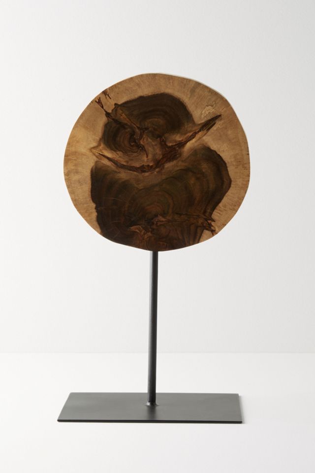 Wood Slice Decorative Object #1