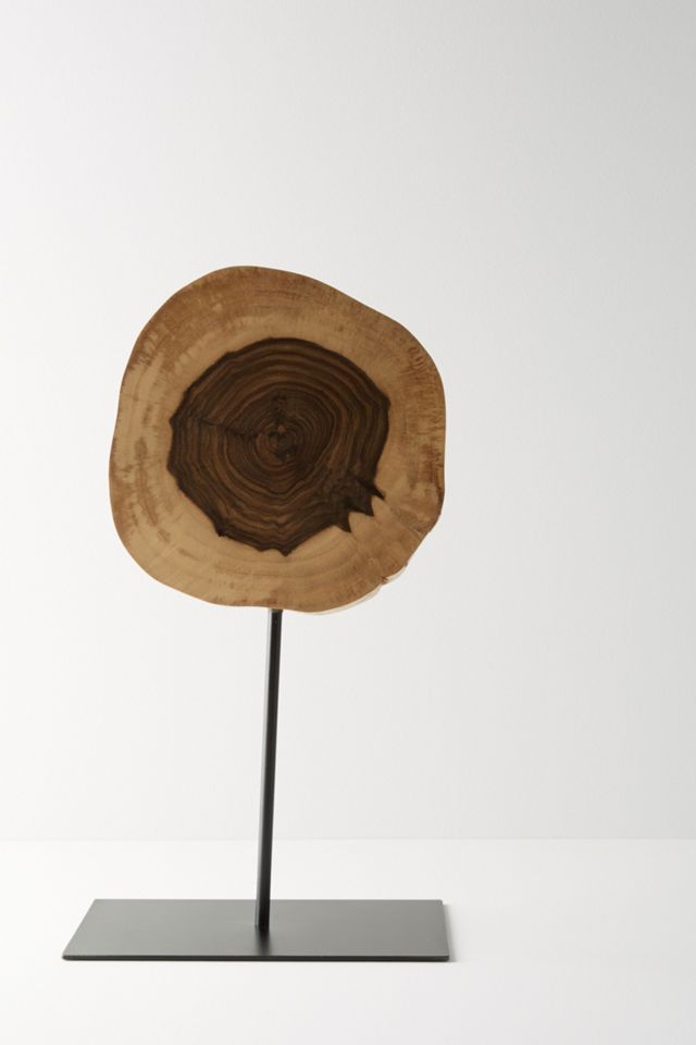 Wood Slice Decorative Object #3