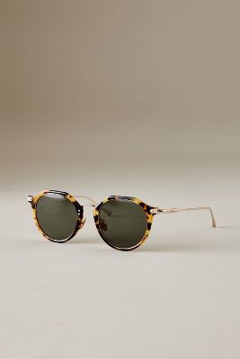 Taylor Morris Cambridge Sunglasses