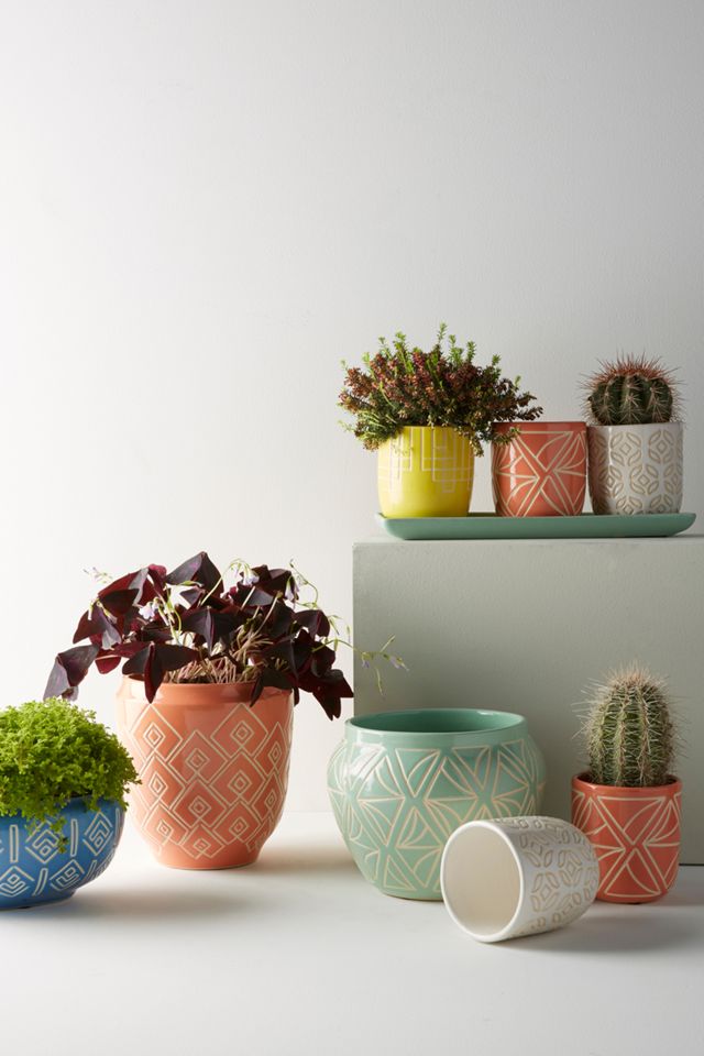 Sage Garden Pot #1