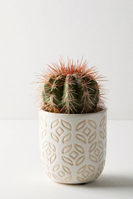 Sage Garden Pot