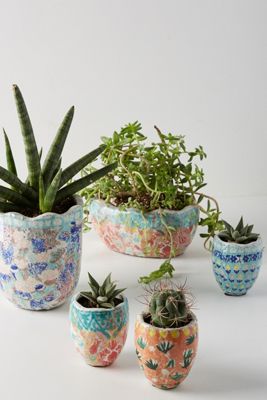 Bismark Garden Pot
