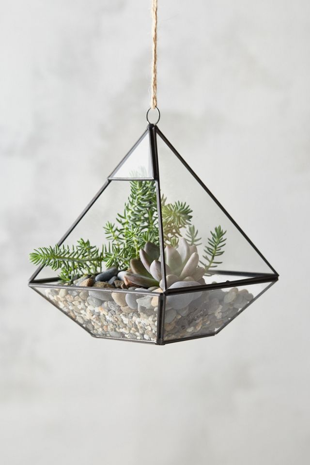 Framed Pyramid Hanging Terrarium #1