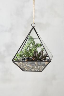 Framed Pyramid Hanging Terrarium