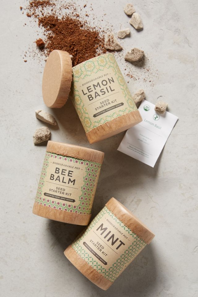 Herbal Tea Seed Starter Set