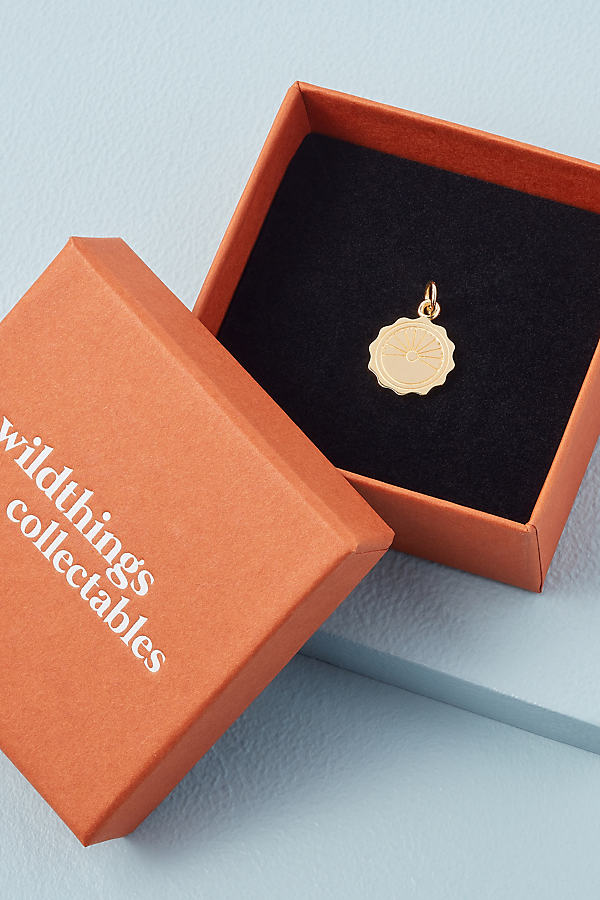 Wildthings Voyage Coin and Necklace
