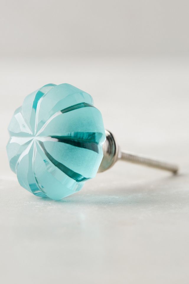 Sand Dollar Knob #2
