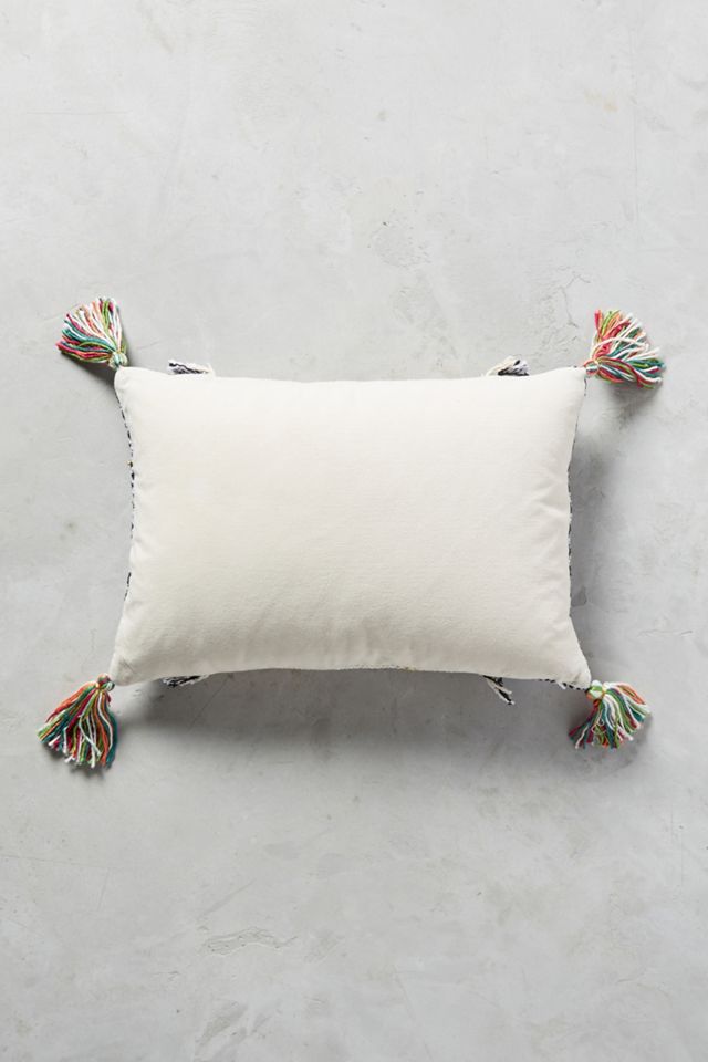 Tasseled Retrograde Pillow #5