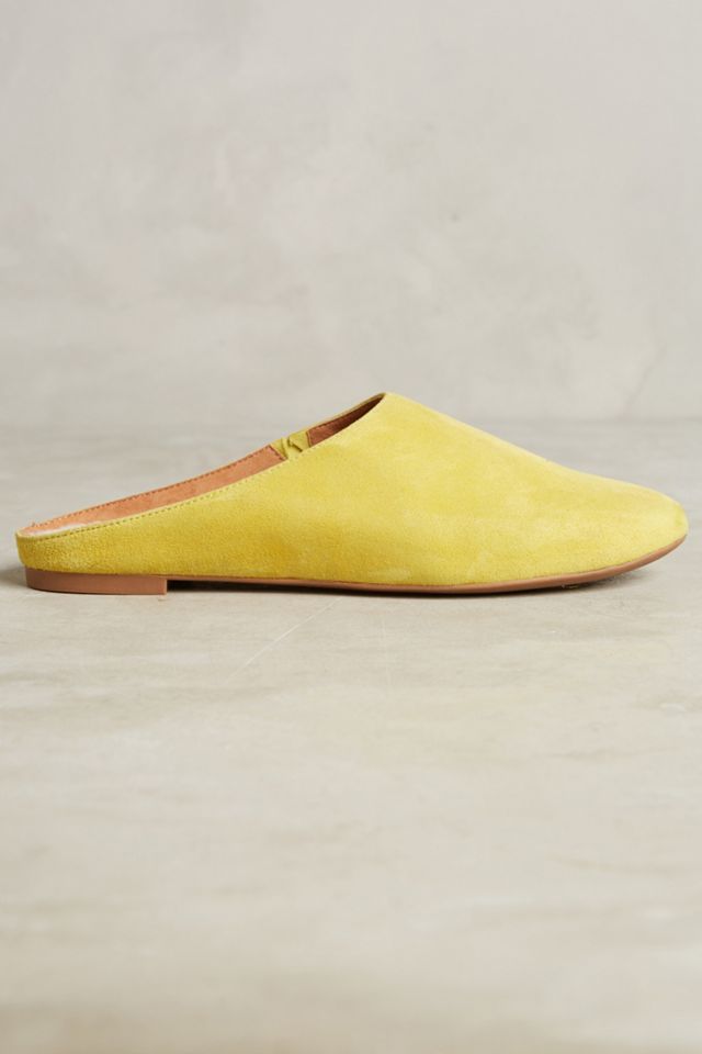 Seychelles Taos Slides #1