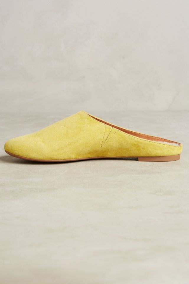 Seychelles Taos Slides #2