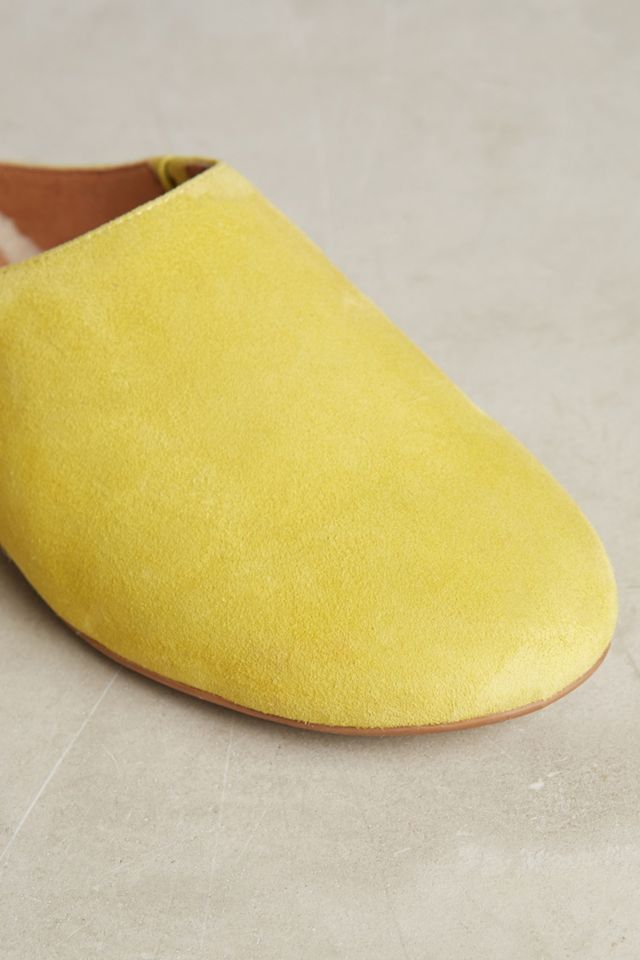 Seychelles Taos Slides #3