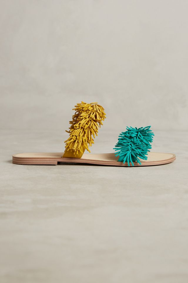 Matiko Fringe Slides #1
