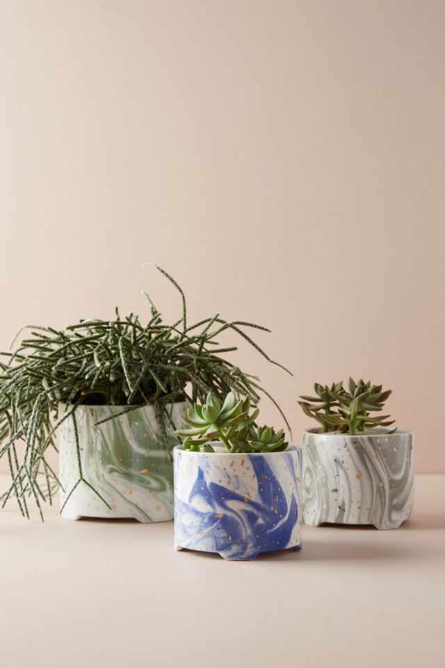 Calloway Pot #1