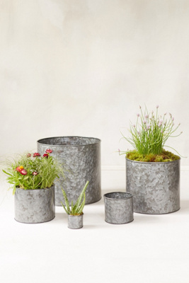 Habit + Form Cylinder Pot | Anthropologie
